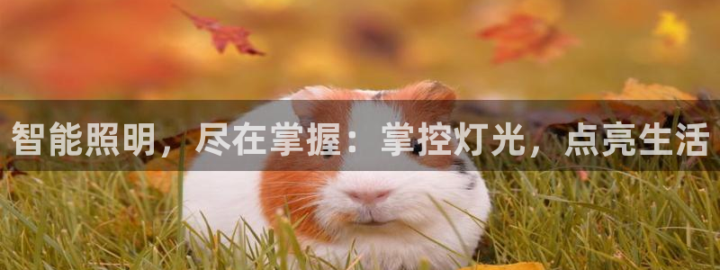 云顶游戏官网网址