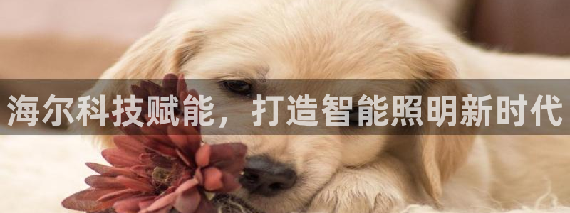 云顶讲解