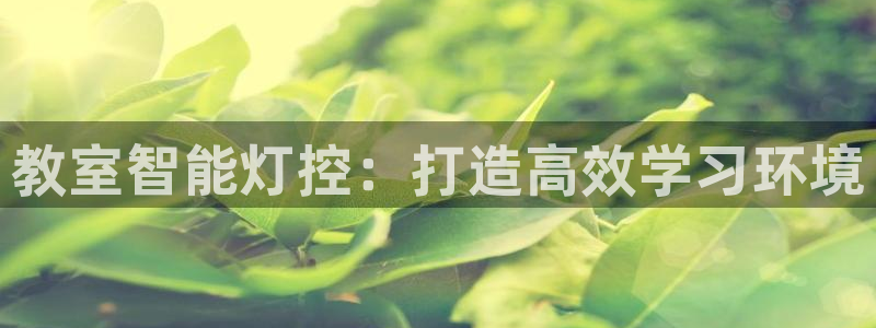云顶路线图