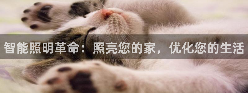 云顶国际服账号