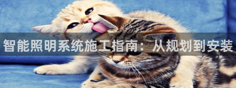 云顶国际提现不到账怎么办