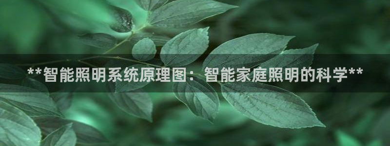 云顶集团电话