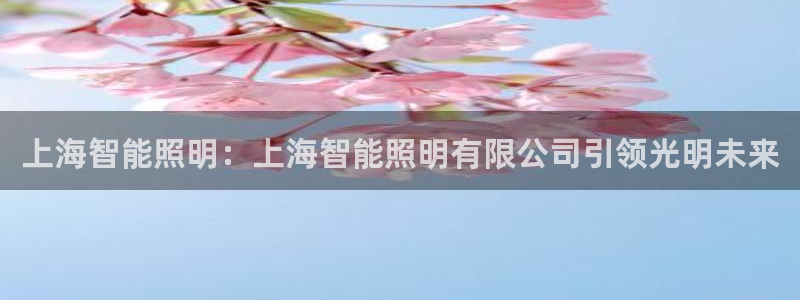 云顶国际体育官方网站入口