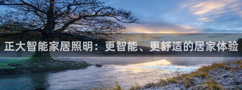 云顶集团 中国排名第几