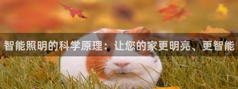 云顶oce