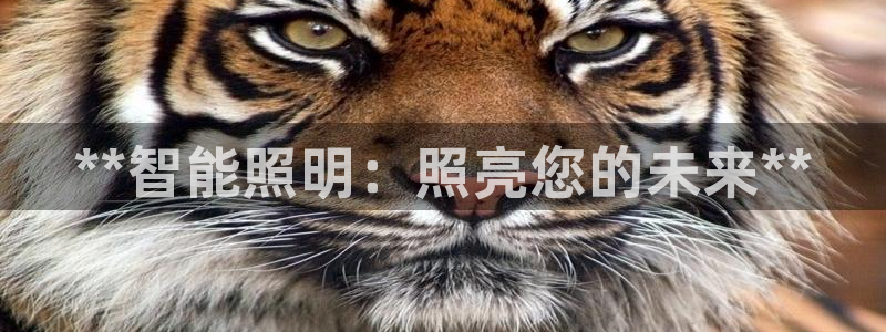 云顶国际软装公司怎么样啊