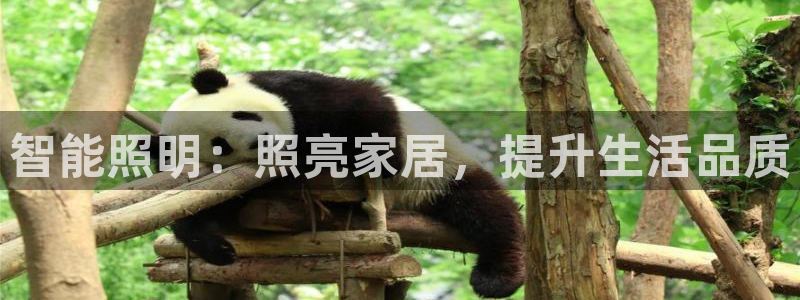 云顶国际培训中心电话