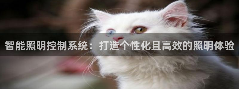云顶国际停车费多少钱