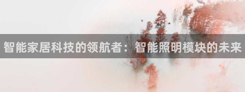 云顶国际商业广场 停车