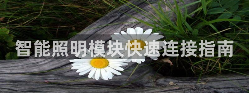 云顶集团总裁