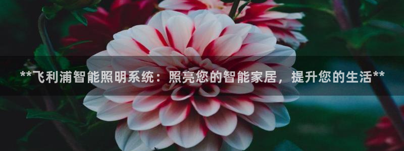 云顶国际威尼斯