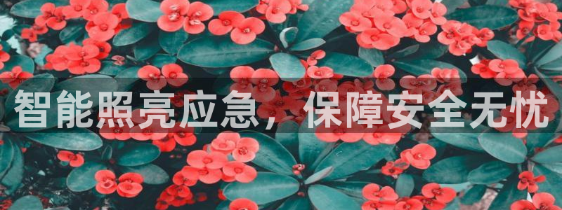 云顶集团董事长林东