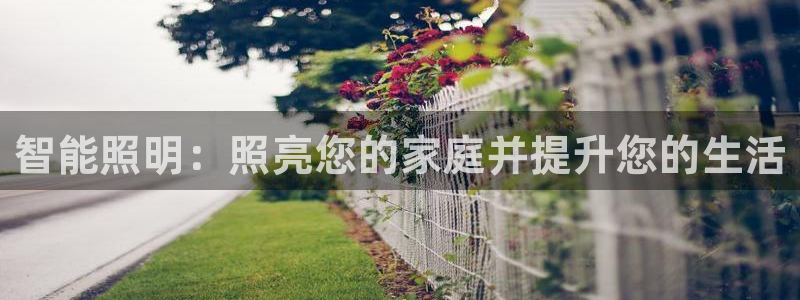云顶国际麻将胡了