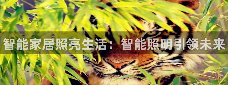云顶国际服叫什么
