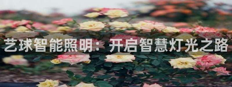 云顶国际nba智库