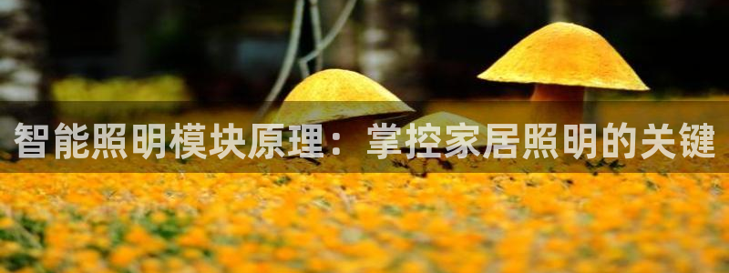 云顶集团3118app功能