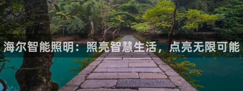 12311云顶线路检测