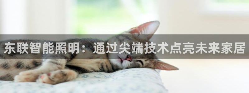 云顶集团高管