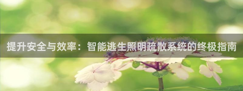 云顶国际旅行社怎么样