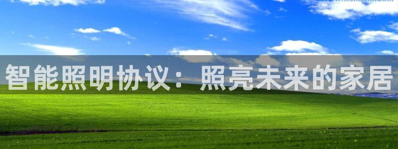 云顶国际服有中文吗