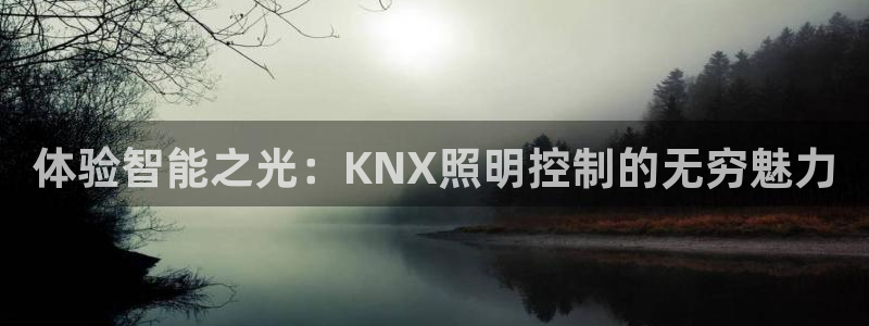 云顶国际公馆房价