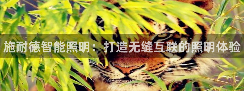 云顶国际服如何调中文