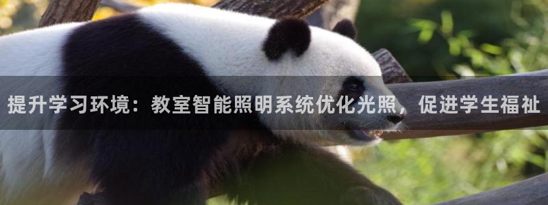 云顶国际黑款
