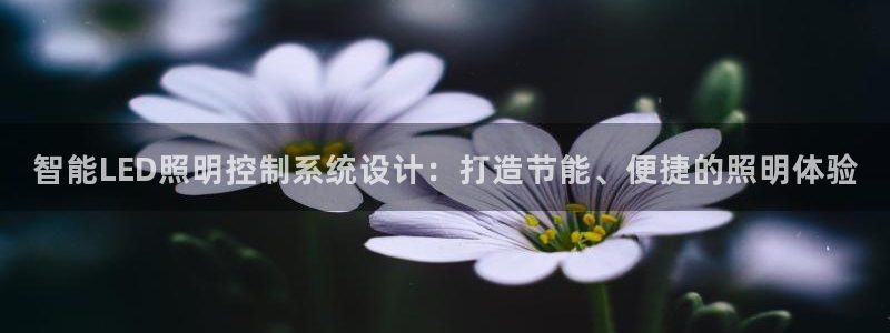 云顶电子游戏app