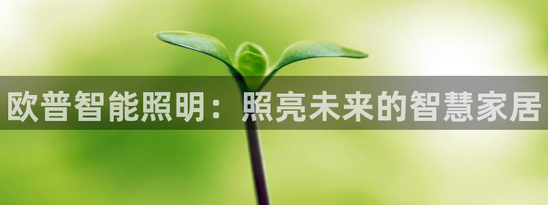 云顶国际app官方网站下载安装