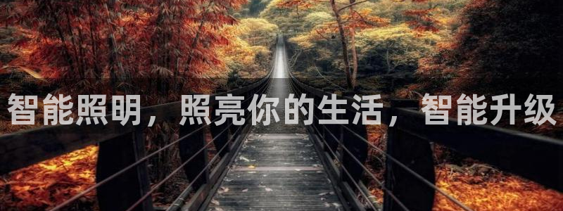 云顶国际服服务端错误