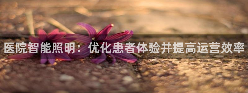 云顶国际投资有限公司招聘