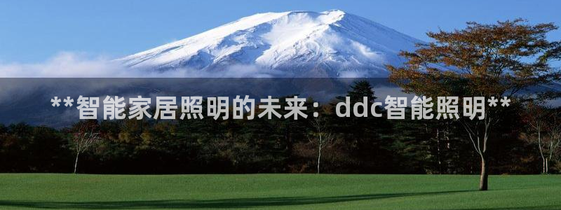 云顶国际培训机构