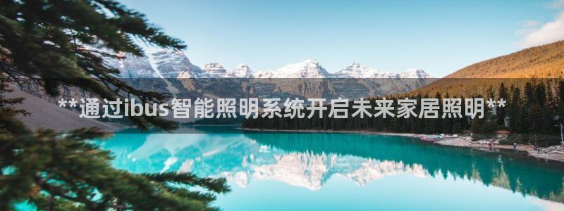 云顶集团游戏app特色