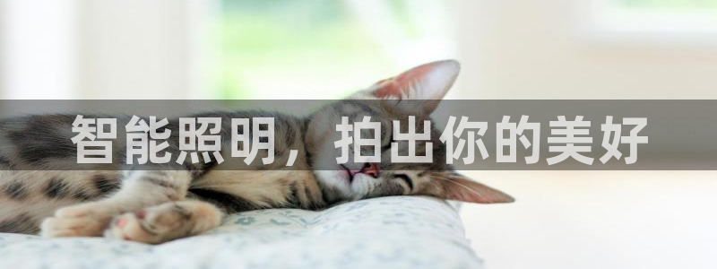 云顶国际平台游戏官网入口