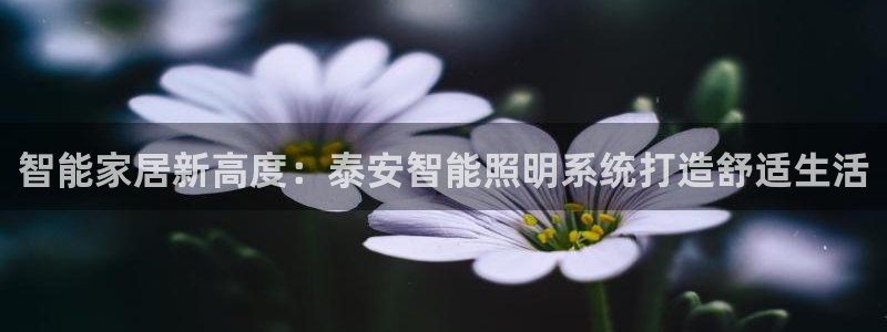 云顶国际服