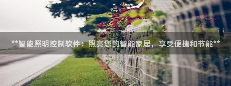 云顶手游国际版