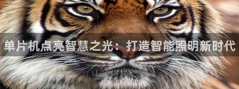 云顶国际软件官网下载