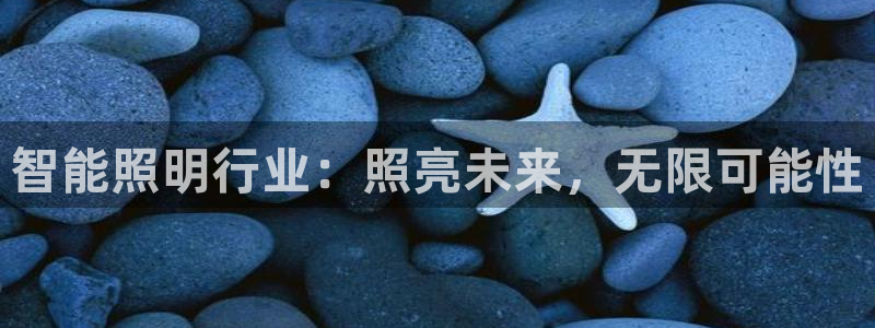 云顶国际app手机版下载