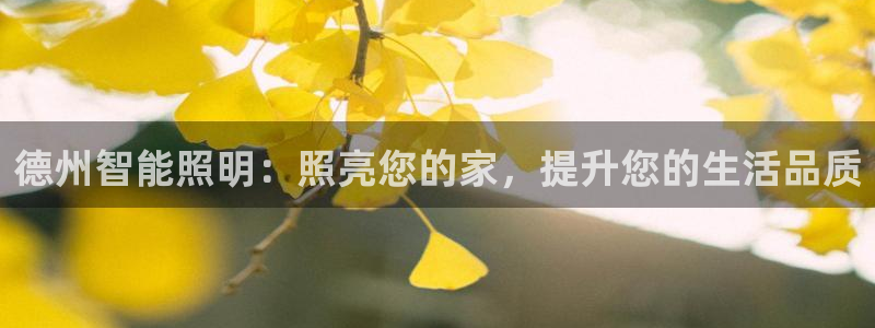 云顶集团有限公司是国企吗