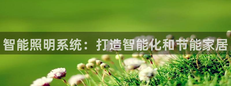 云顶国际会所电话