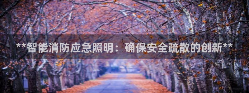 云顶国际测试服免费