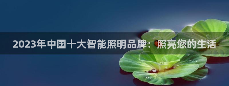 云顶国际集团游戏app