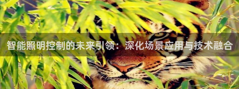 云顶国际服维护时间