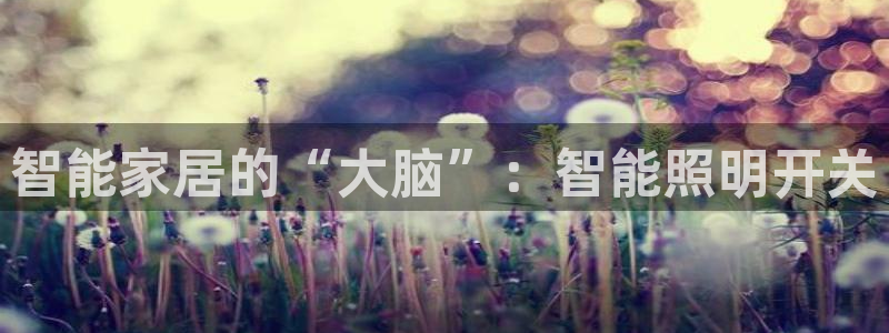 云顶国际培训中心地址