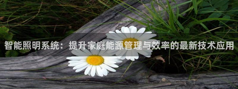 云顶国际服mac汉化