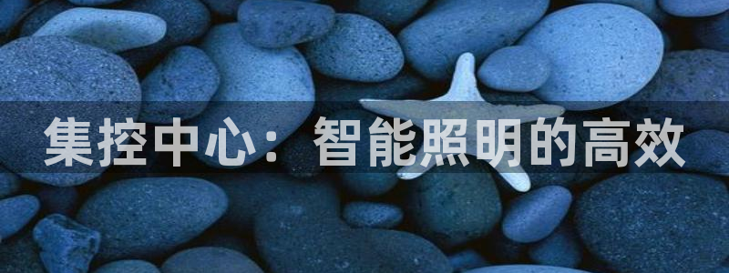 云顶国际酒店老板是谁