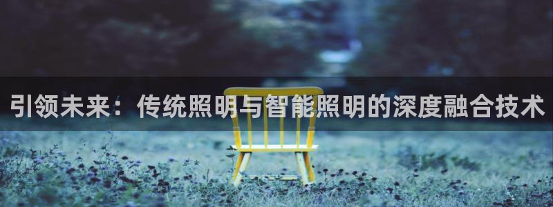 云顶国际服联机