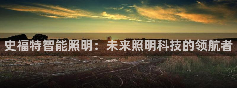 云顶集团app免费下载安装
