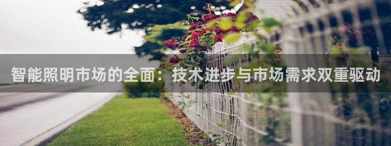 云顶集团最新官方网站入口