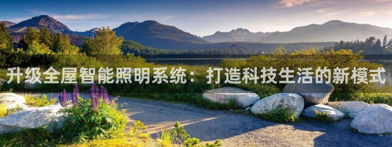 云顶集团简介